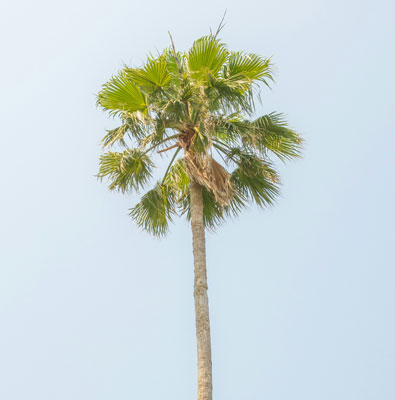 xx手机16系列_copy_copy